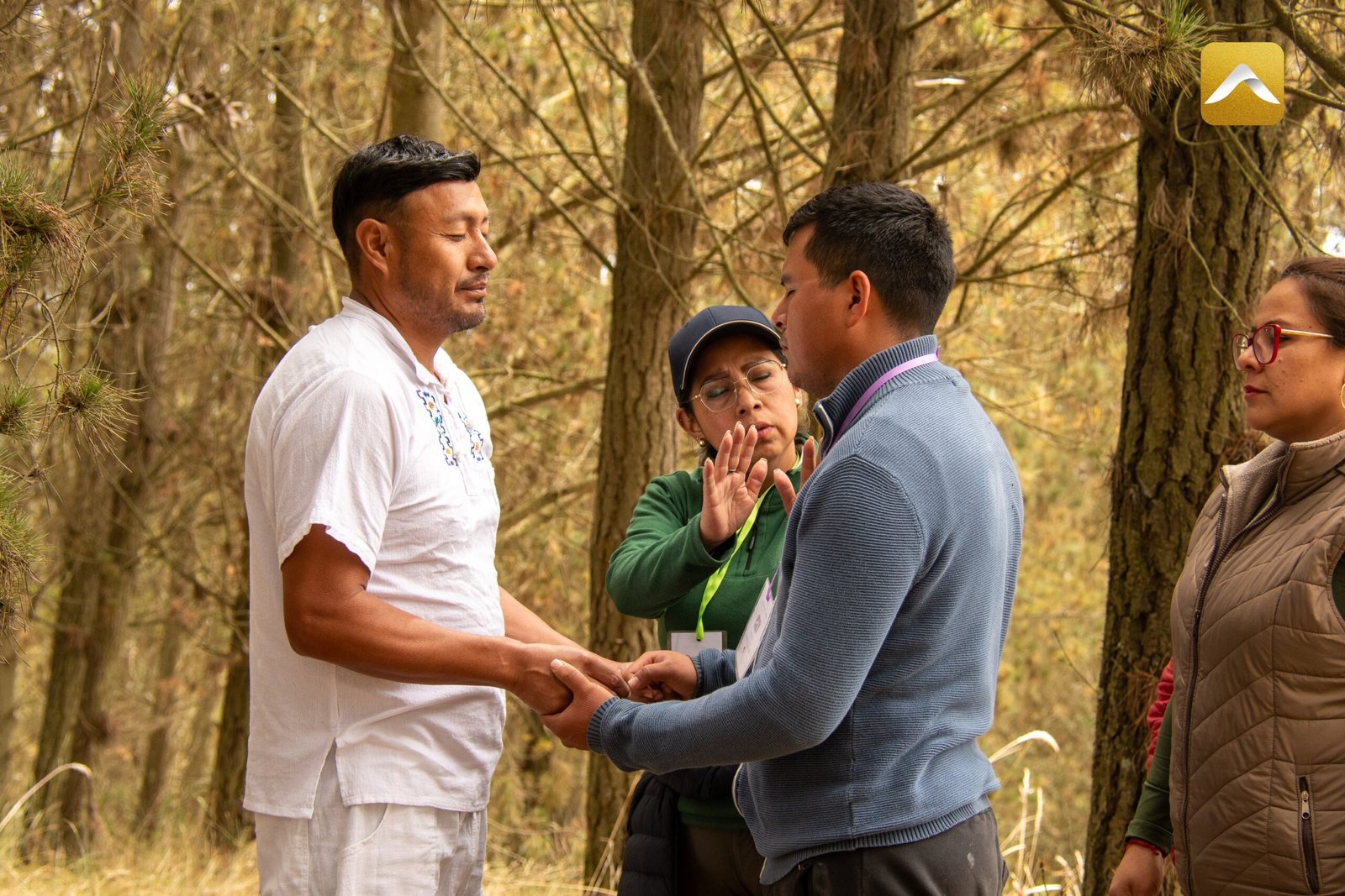 img_4370 constelacion familiar